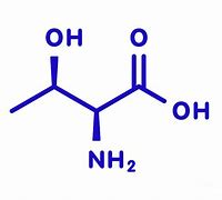 Image result for Threonine Amino Acid