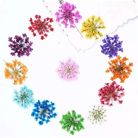24 in 1 Multy Pressed Dry Flower – Resin Art