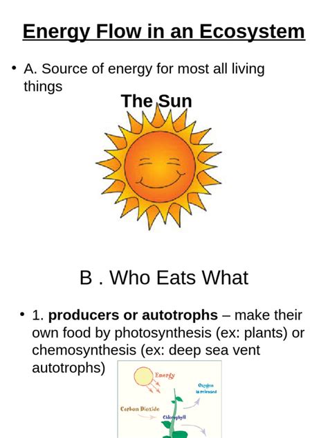 Examples of Energy Flow 的图像结果