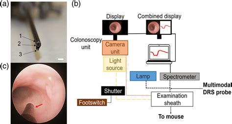 Image result for Colonoscopy Image System Component
