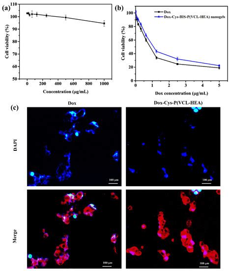 Dual Responsive poly(vinyl caprolactam)-Based Nanogels for Tunable ...