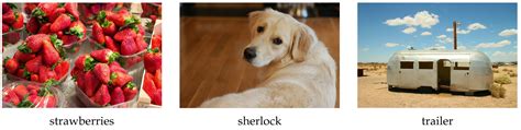 A Color Image Encryption Model Based on a System of Quaternion Matrix ...