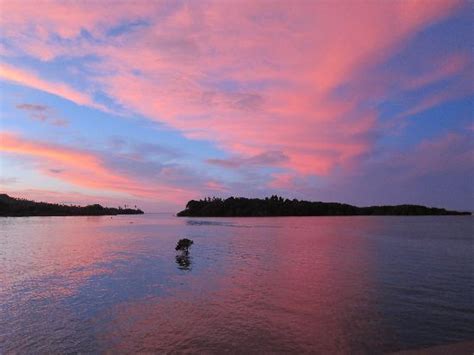 KoroSun Dive (Savusavu) - All You Need to Know BEFORE You Go