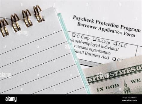 Payment Protection Programme Application 的图像结果