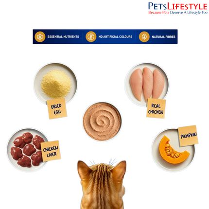 Drools Cat Mousse Wet Cat Food – Chicken | Wet Cat Food India