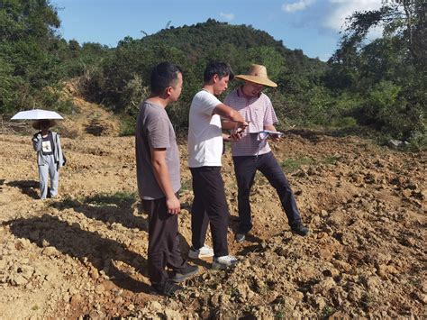 保护耕地 的图像结果