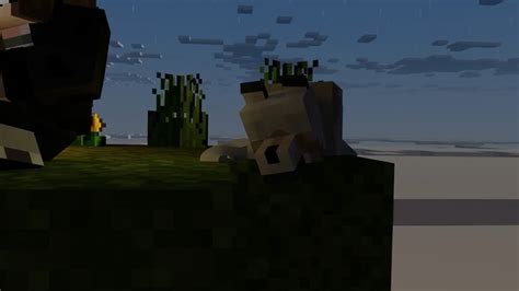 Image result for Minecraft 3D Animation