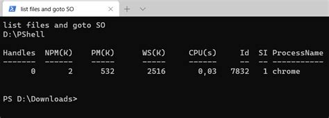 Terminal PowerShell Code 的图像结果