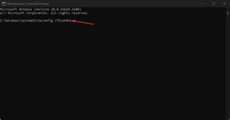 Discord RTC Connection 的图像结果