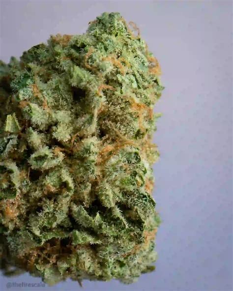 Rainbow Road Strain Breakdown: Effects and Medical Use
