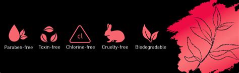 Buy Sirona Natural Biodegradable Super Soft Black Sanitary Pads/Napkins ...