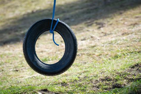 playground, game device, fun, field, plant, tire swing, land, childhood ...