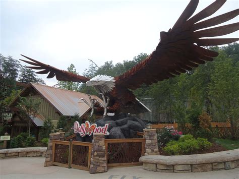 Dollywood - Wild Eagle