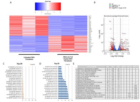 Antisense Oligonucleotide Induction of the hnRNPA1b Isoform Affects Pre ...