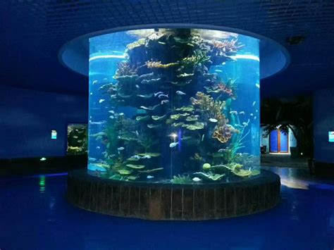 国内十大值得一去的海洋馆 北京海洋馆上榜,第一位于广东(2)_排行榜123网