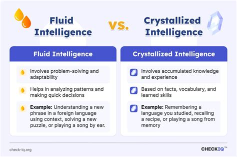 What Exactly Is Fluid Intelligence?
