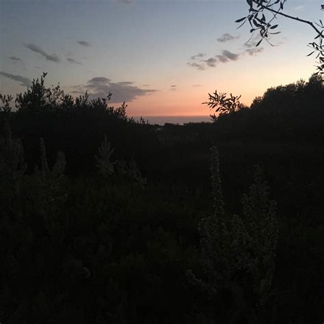 Fish Lake Campground | Frenchglen, Oregon