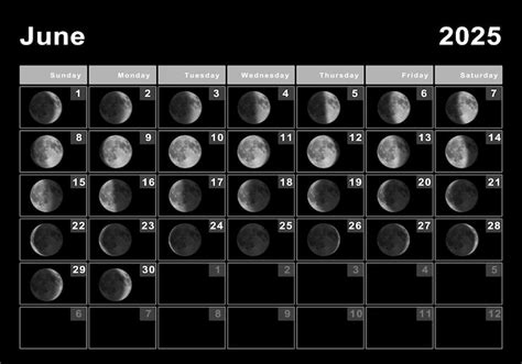 June 2025 lunar calendar, moon cycles, moon phases | Premium Photo