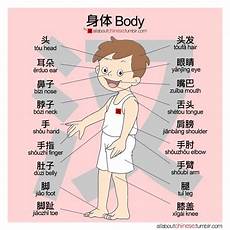 schematic diagram english to mandarin part of mandarin version lets try to learn schematic diagram english to mandarin part of mandarin version lets try to learn