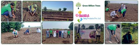 Every Dot Counts: Swara Baby Products’ Green Initiative with MPL – Grow ...