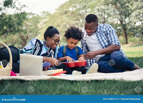 Young Smiling Family Doing a Picnic Stock Photo - Image of children ...