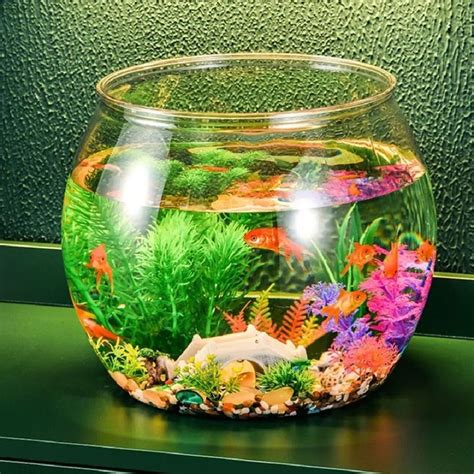 水槽 丸型 プラ水槽 金魚鉢 クリア 透明 プラスチック 軽量 インテリア アクアリウム テラリウム 多機能 自由研究 夏休み 熱帯魚 卓上 ...