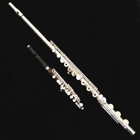 Difference Between Piccolo And Flute at Ryder Krichauff blog
