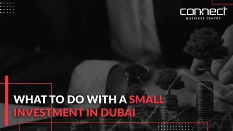 What to do With small investment in dubai, UAE | Guide 2024