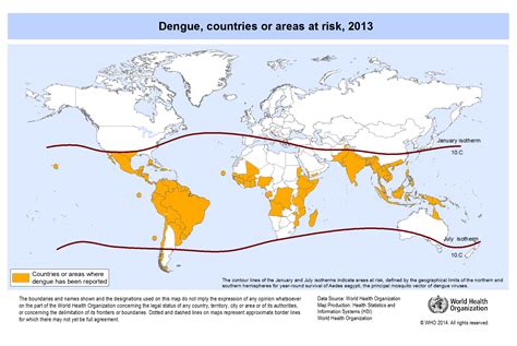 How to know if you’ve been bitten by a dengue mosquito: 5 facts about the Aedes aegypti mosquito ...
