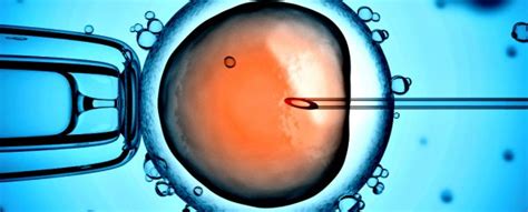 Rezultat imagine pentru Human Genetic Modification