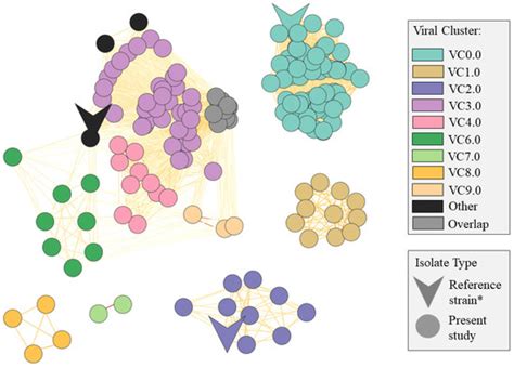 Comparative Genomics of Staphylococcus rostri, an Undescribed Bacterium ...