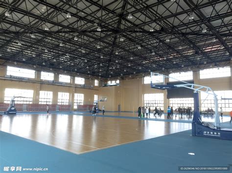 体育馆 的图像结果
