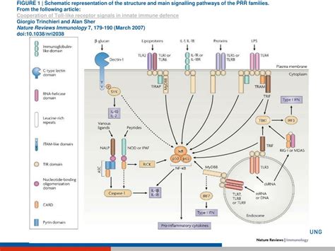 Controlling Process Example 的图像结果