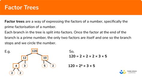 Factor Tree Square Root 的图像结果