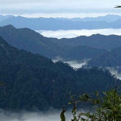 CHENZHOU MANG MOUNTAIN NATIONAL FOREST PARK - All You Need to Know ...