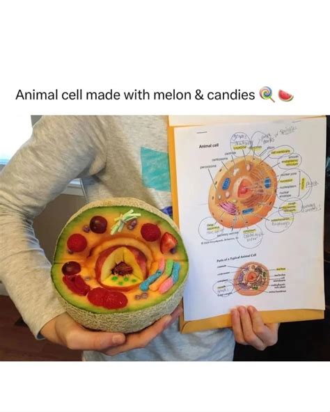 World of Biology | Me after months of exams: Mentally graduated ...