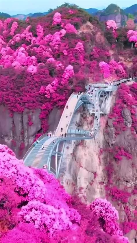 Most Beautiful China 的图像结果