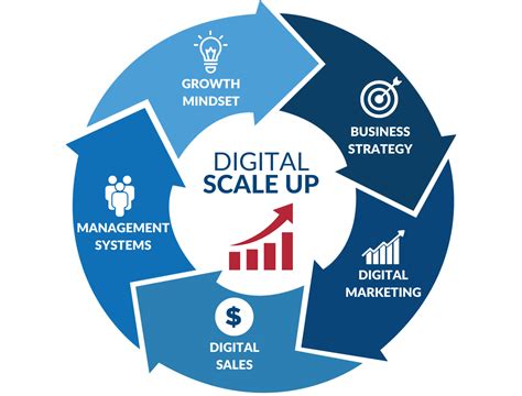 Scale Of Business