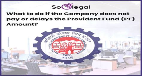 What to do if the Company does not pay or delays the Provident Fund (PF ...