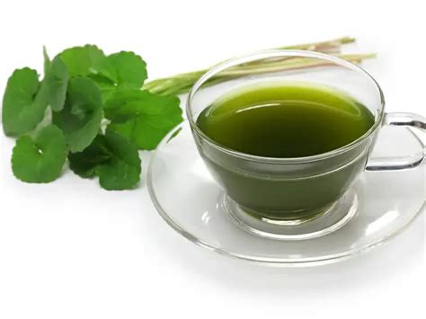 Brahmi (Water Hyssop Or Indian Pennywort) - International Tea Day ...