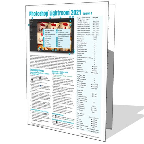 Lightroom Tutorial 2021 的图像结果