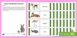Animal Poo Classification Pack