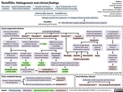 Tonsillitis-Pathogenesis-and-clinical-findings | Calgary Guide