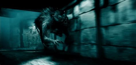 Underworld Evolution Clips 的图像结果