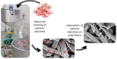 Investigation of the Adsorption Behavior of Jet-Cooked Cationic ...