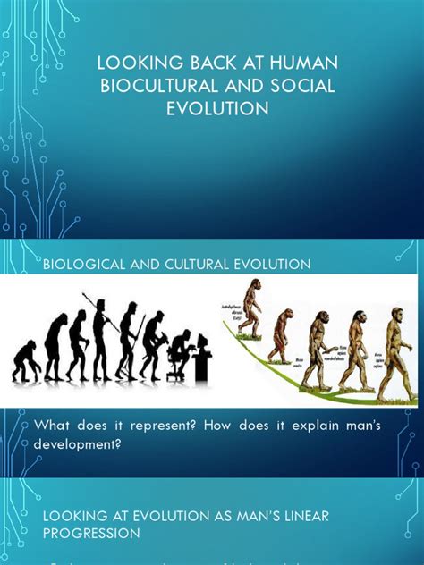 Modern Man Evolution 的图像结果