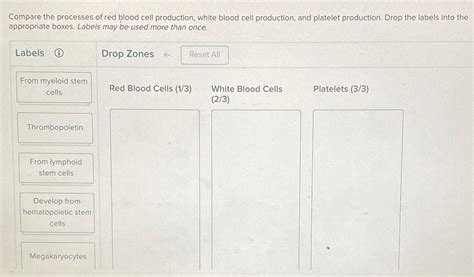 Image result for Explain Red Cell Production
