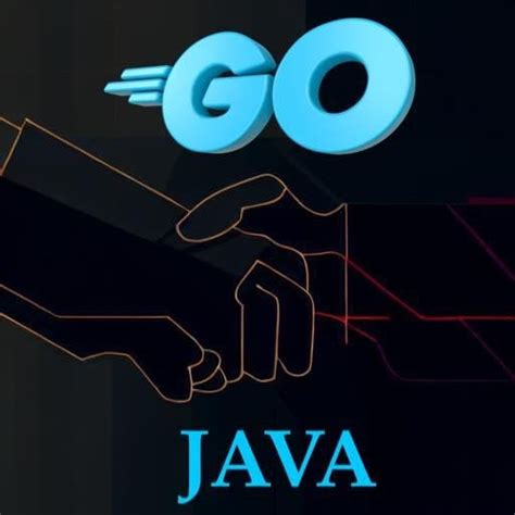 Image result for Golang for Java Developers
