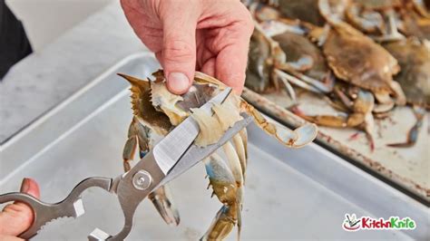 Image result for How to Clean Cook Soft Shell Crabs