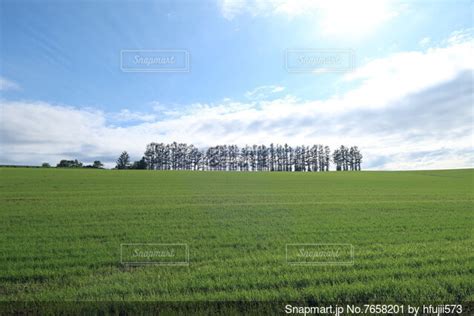 Image result for JavaScript Root Path
